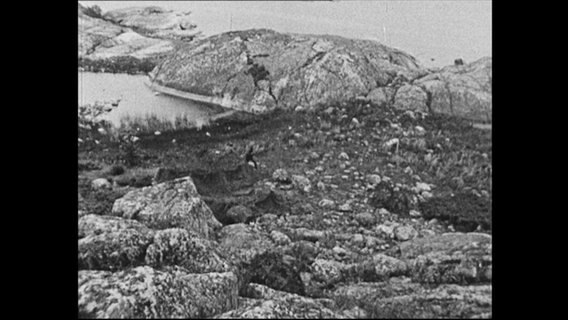 Soldaten laufen über Schärenlandschaft in Schweden.  