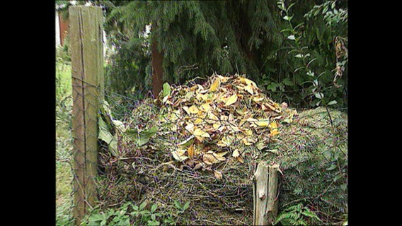Ein Kompost in einem Garten.  
