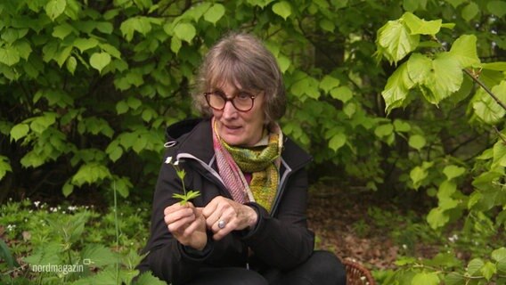Sylvia Berg kniet auf dem Waldboden und präsentiert eine Heilpflanze.  