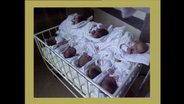 Babys liegen in einem Krankenhaus-Bett.  