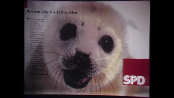 Ein SPD-Wahlplakat mit einer Robbe (Archivbild).  
