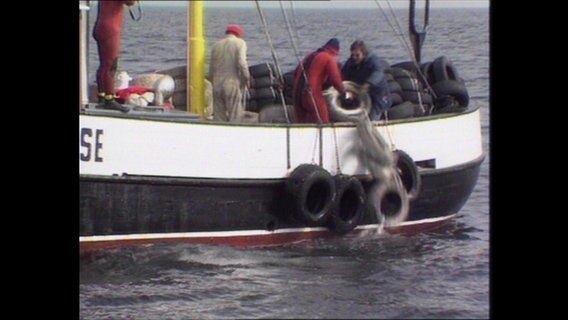 Eine Bürgerinitiative wirft Autoreifen von einem Boot aus in die Ostsee, an denen sich Muscheln ansiedeln sollen (Archivbild).  