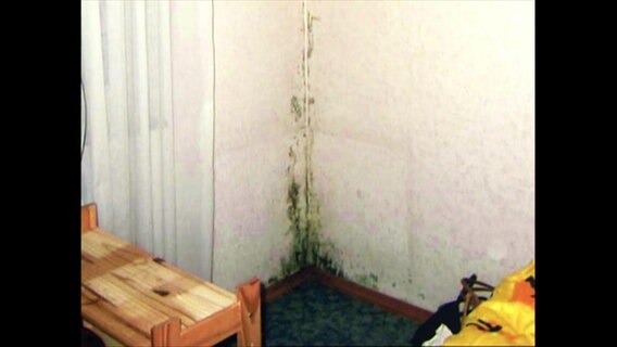 Schimmel an der Wand in einem feuchten Zimmer  
