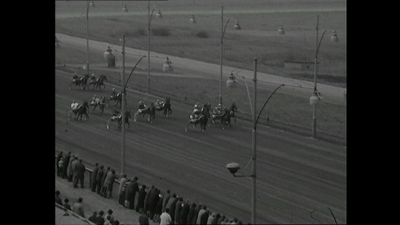 Traber auf der Rennbahn in Farmsen 1965  