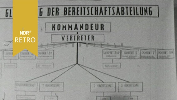 Schaubild: "Gliederung der Bereitschaftsabteilung" der schleswig-holsteinischen Polizei 1964  