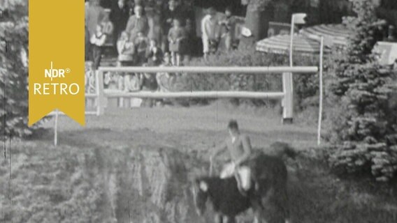 Reiter mit Pferd springt einen Abhang hinab beim Derby in Klein-Flottbek 1965  