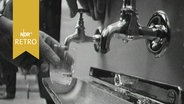 Glas wird an einem Wasserhahn im Wasserwerk Wettmar mit Leitungswasser gefüllt (1963)  
