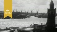 Blick vom Stintfang über die Landungsbrücken St. Pauli auf Hafenkräne (1964)  