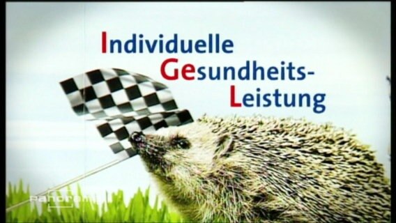 Abbildung eines Igels mit der Überschrift "Individuelle Gesundheits-Leistung"  