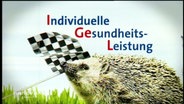 Abbildung eines Igels mit der Überschrift "Individuelle Gesundheits-Leistung"  