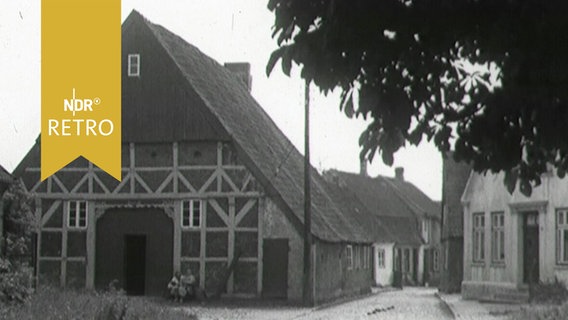 Bauernhaus in einem Dorf in der Haseldorfer Marsch (1959)  