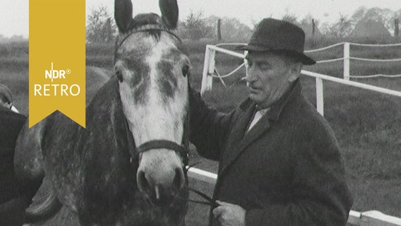 Der ehemalige Springreiter Fritz Thiedemann mit einem Pferd (1963)  