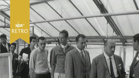 Delegation in einem Gewächshaus der Landwirtschaftlichen Versuchsanstalt Braunschweig (1963)  