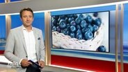 Jan Starkebaum moderiert Hallo Niedersachsen am 14.08.2021. Hinter dem Moderator ist ein Bild von zahlreichen blauen Heidelbeeren eingeblendet.  