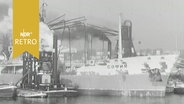 Sowjetisches Frachtschiff "Sofia" in einem Dock im Hamburger Hafen (1963)  