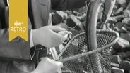 Fischer holt Aal aus einem Kescher (1963)  