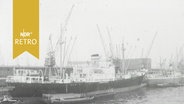 Frachtschiffe liegen im Hamburger Hafen (1964)  