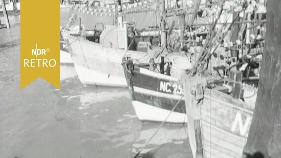 Buge der Fischerboote im Hafen von Cuxhaven 1964  