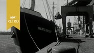 Ein Schiff im Kanalhafen Rendsburg wird beladen (1964)  