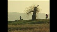 Zwei Radfahrer in der Natur  