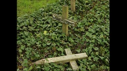 Ein umgestürztes Friedhofskreuz  
