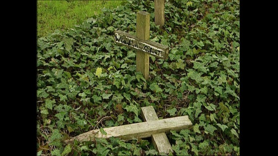 Ein umgestürztes Friedhofskreuz © NDR 