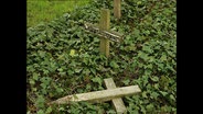 Ein umgestürztes Friedhofskreuz © NDR 