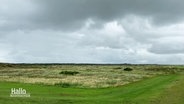 Ein Ausblick auf die Insel Langeoog.  