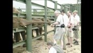 Zoo-Besucher stehen vor Elefanten  