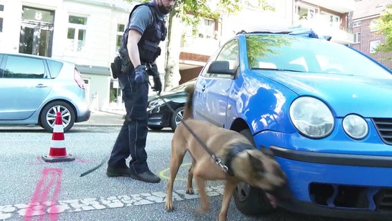 Ein Drogenspürhund schnüffelt an einem Auto © NDR / Isabelle Wildberger 