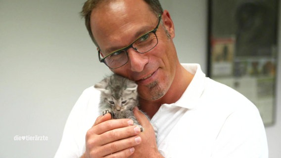 Ein Tierarzt mit einem kleinen Kätzchen auf dem Arm.  