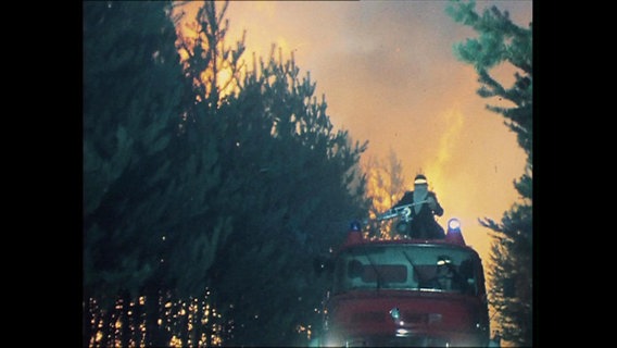 Die Feuerwehr bei den Löscharbeiten eines Waldbrandes  