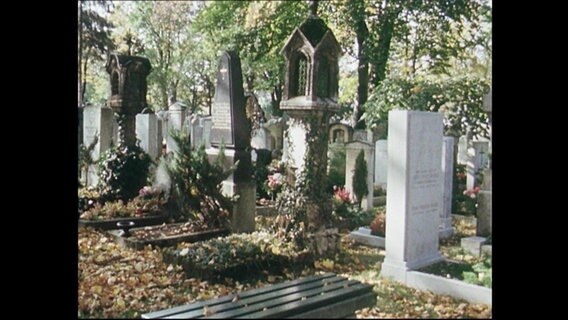 Grabsteine auf einem Friedhof  