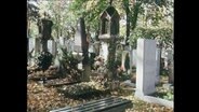 Grabsteine auf einem Friedhof  