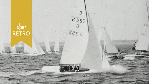 Segelboot bei einer Regatta 1965  