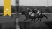 Zwei Galoppreiter beim Zieleinlauf im Rennen von Hannover 1963  