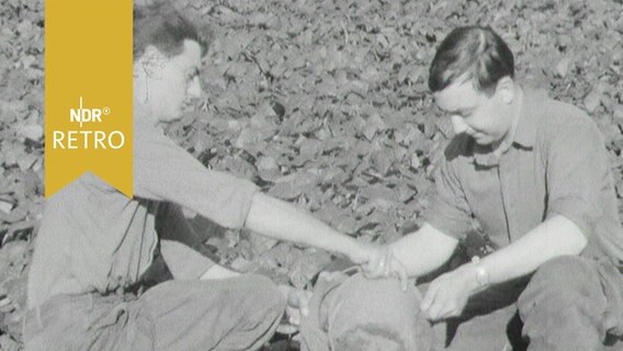 Zwei junge Soldaten bei der Ernte auf  einem Acker  (1963)  