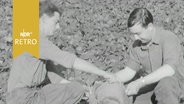 Zwei junge Soldaten bei der Ernte auf  einem Acker  (1963)  