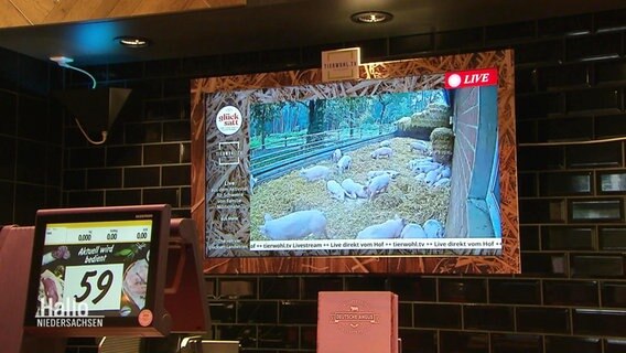 Auf einem Bildschirm sind Liveaufnahmen aus einem Stall zu sehen.  