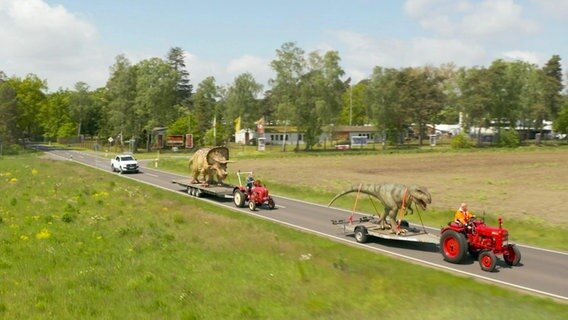 Zwei rote Traktoren und ein weißes Auto fahren über eine Landstraße, beide Traktoren ziehen je eine Dinosaurierskulptur auf einem Anhänger.  
