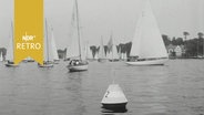 Segelschiffe vor der Regatta um den Hamburger Senatspreis auf der Elbe (1964)  