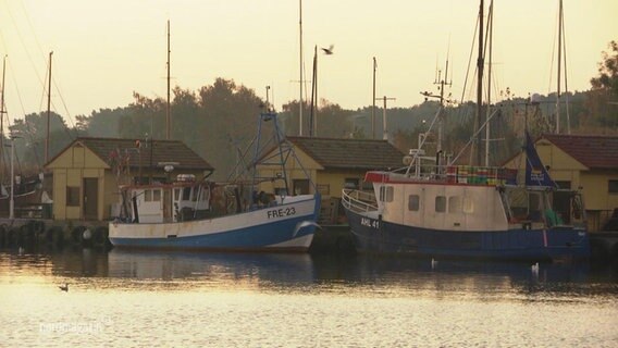 Zwei Fischerboote in einem Hafen.  