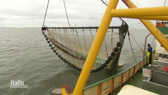 Ein Fangnetz an einem Schiff.  