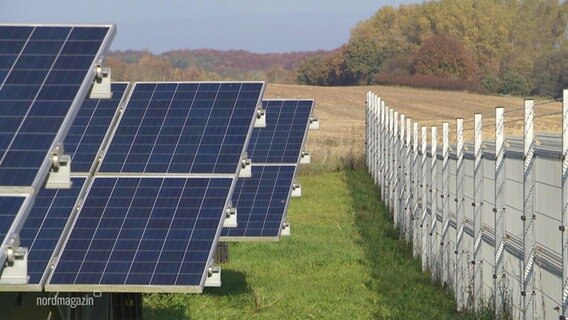Solarzellen stehen auf einer Wiese.  