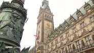 Das Hamburger Rathaus aus der Froschperspektive.  