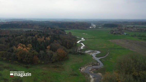 Ein Fluss und Umgebung aus der Luft betrachtet.  