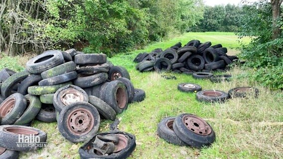 Viele alte Reifen liegen auf zwei Haufen in der Natur.  