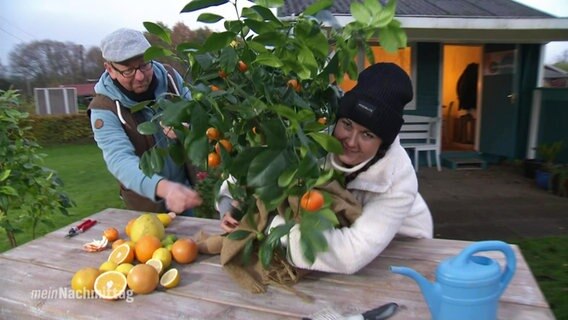 NDR-Reporterin mit Gärtner Matthias Schuh und einem Orangenbaum.  