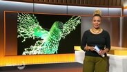 Die Moderatorin im Studio, im Hintergrund auf einem Bildschirm ist eine grüne Leuchtskulptur zu sehen, die einen Vogel darstellt.  