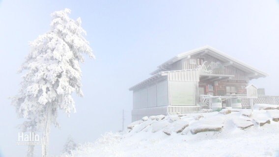 Eine schneebedeckte Hütte neben einem schneebedecktem Baum.  